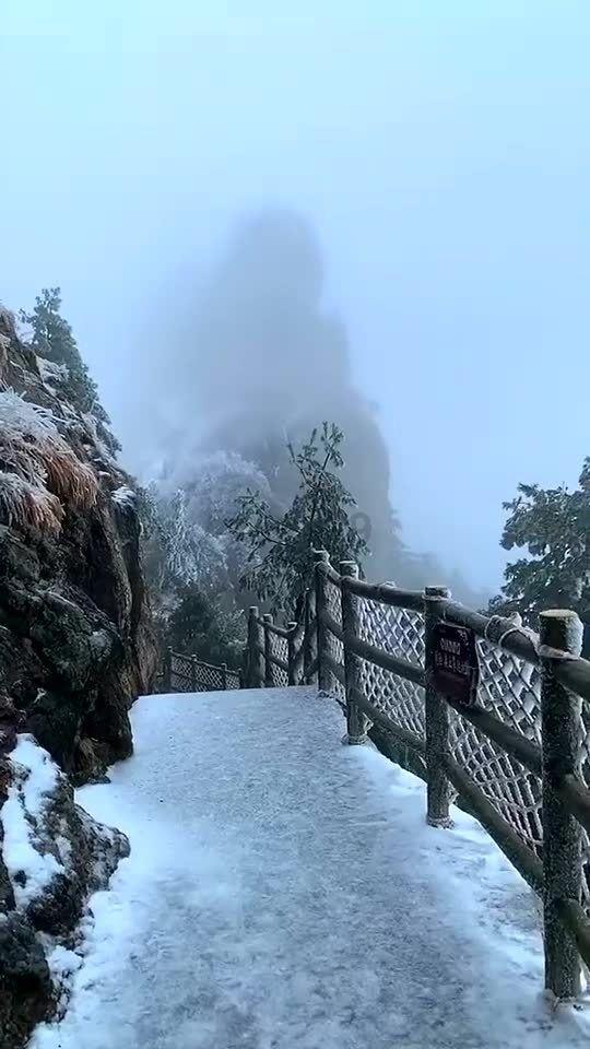 滚动的奶酪